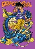 Goku and Dragon Colo