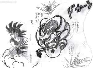 Son-Goku und Shenlong-2