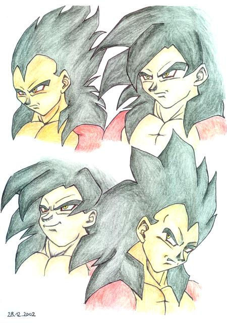 SSJ 4 Goku + Veggie
