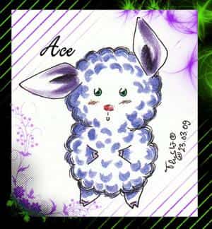 Ace, The sheep