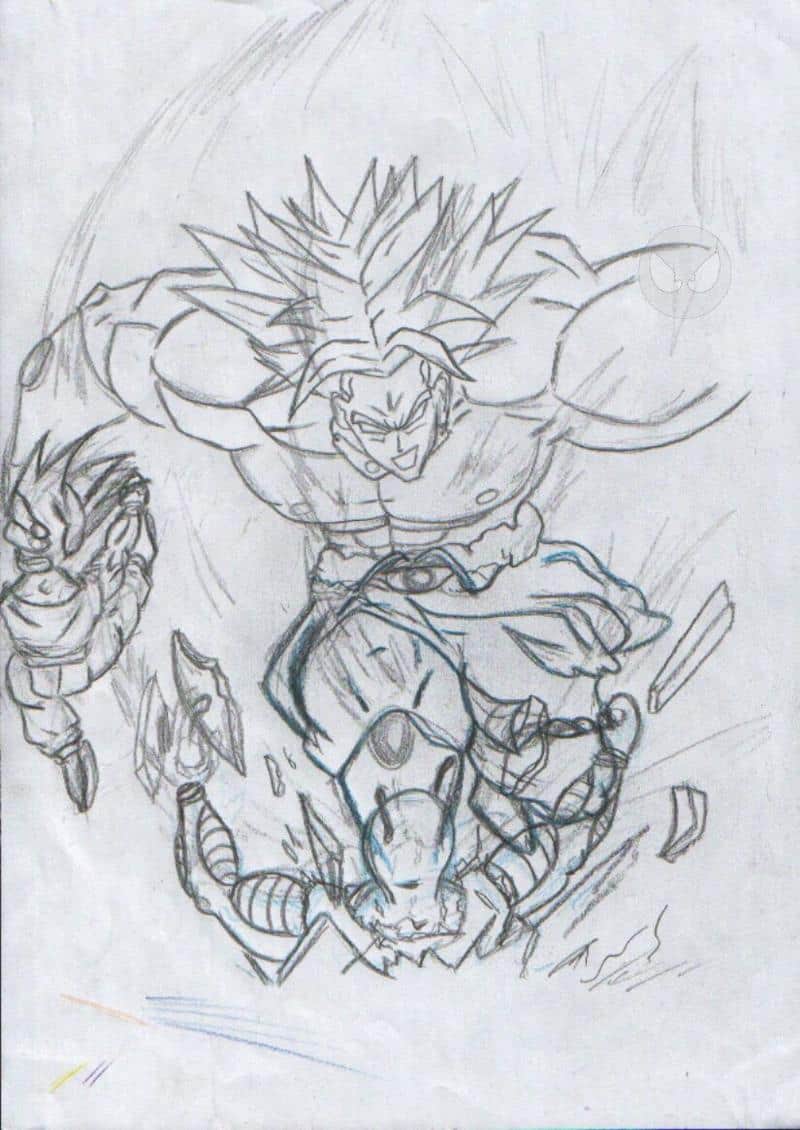 Broli