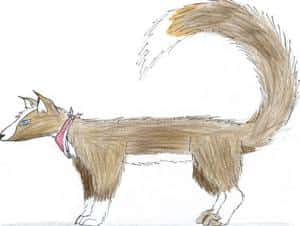 Wiesel ähnliches etwas...