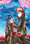 Flowerrain- pein x konan