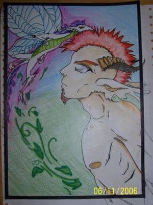 Giiblin Der Satyrelf und sein kleiner Feendrache Dragonfly