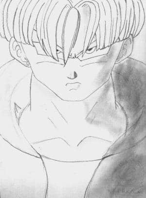 Trunks