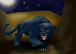 Panther in the moon