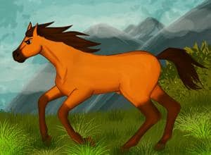 Spirit of the Wild Mustang