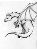 Drache