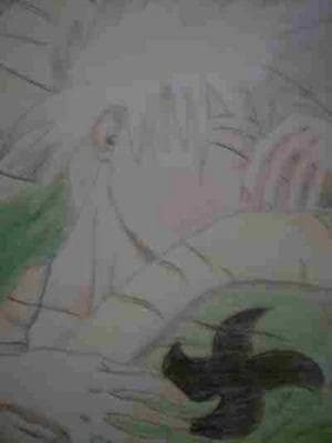 Kakashi sleep