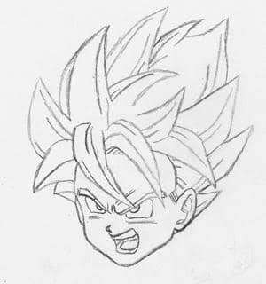 Son Goku
