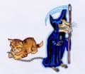 Der Tod und seine Katze