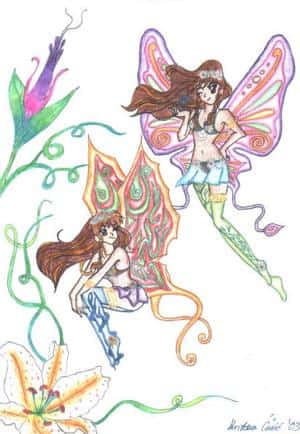 schmetterlins tincos wuehe