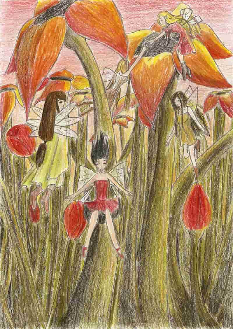 Sunset - Und die Elfen kommen...