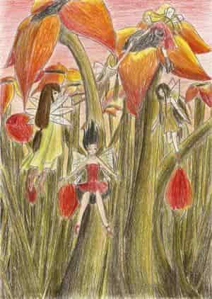 Sunset - Und die Elfen kommen...