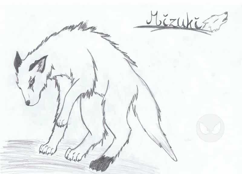 Mizuki als Werwolf ^^