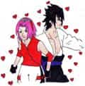 sasusaku