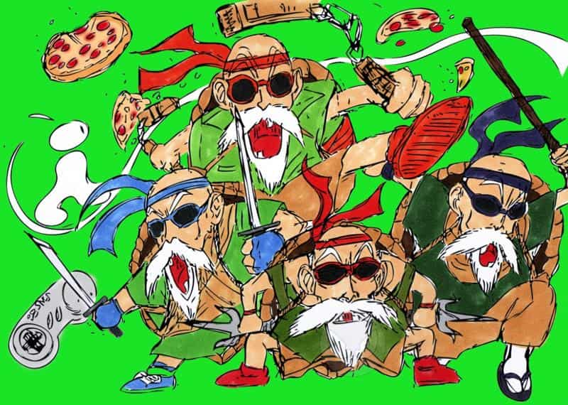 Senior Muten Roshi Turtles