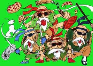 Senior Muten Roshi Turtles
