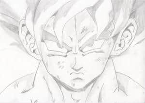 another son-goku