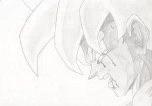 schon etwas mitgenommen