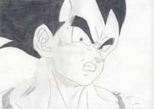 vegeta