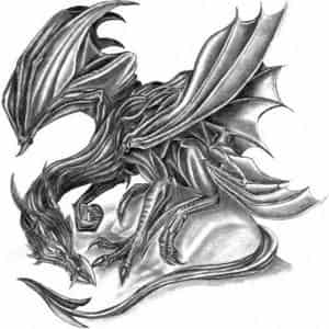 Grey Dragon Bitte Bewerten