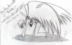 Shadows darker Side FERTIG