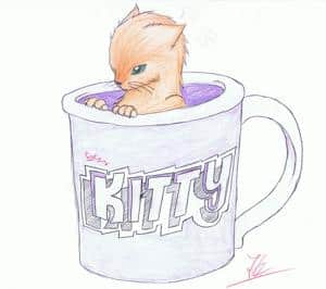 Kittyyyyyyyyyyyyyyy xD