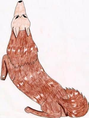 Ein Wolf bei Mondschein