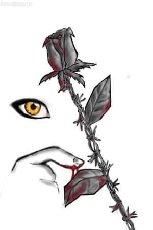 roses fpr my friends