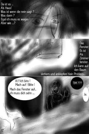 Die Sonnenvögel / Page 12