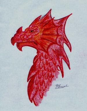 Drache (für Trunki)