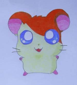Hamtaro - Colo