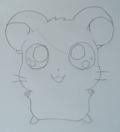 Hamtaro - Outlines