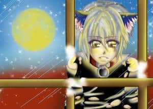 Cat in the Moonlight