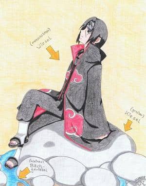 Itachi, das ästhetische Wiesel