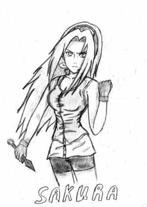 Sakura