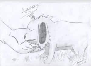 Little Akamaru