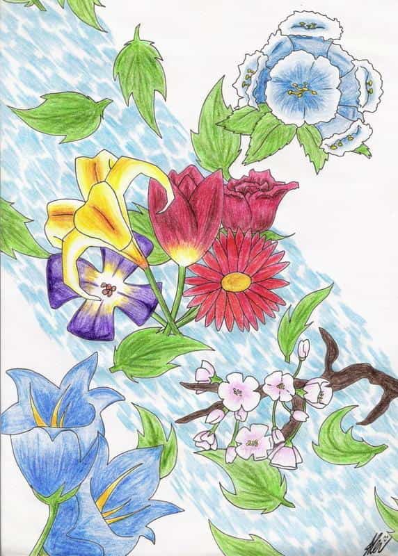 Blumen und Blüten - Zeichen der Gefühle