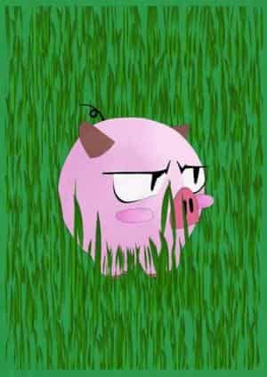 Saizo im grünen Grass