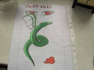 Akatsuki Drache