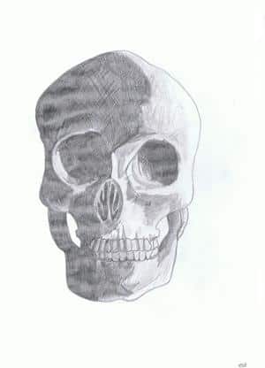 Anatomie//.. Schädel