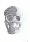 Anatomie//.. Schädel