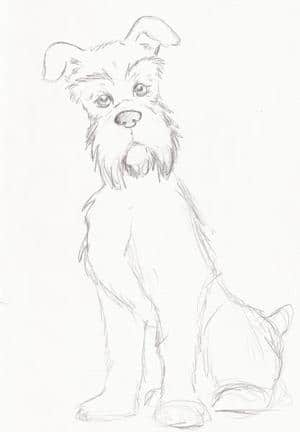 Tim und Struppi :Struppi Scribble