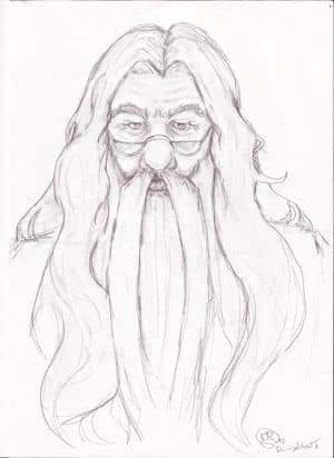 Dumbledore Skizze