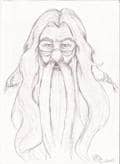 Dumbledore Skizze