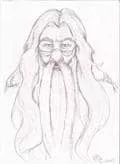 Dumbledore Skizze
