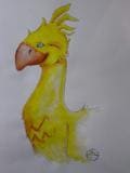 Chocobo
