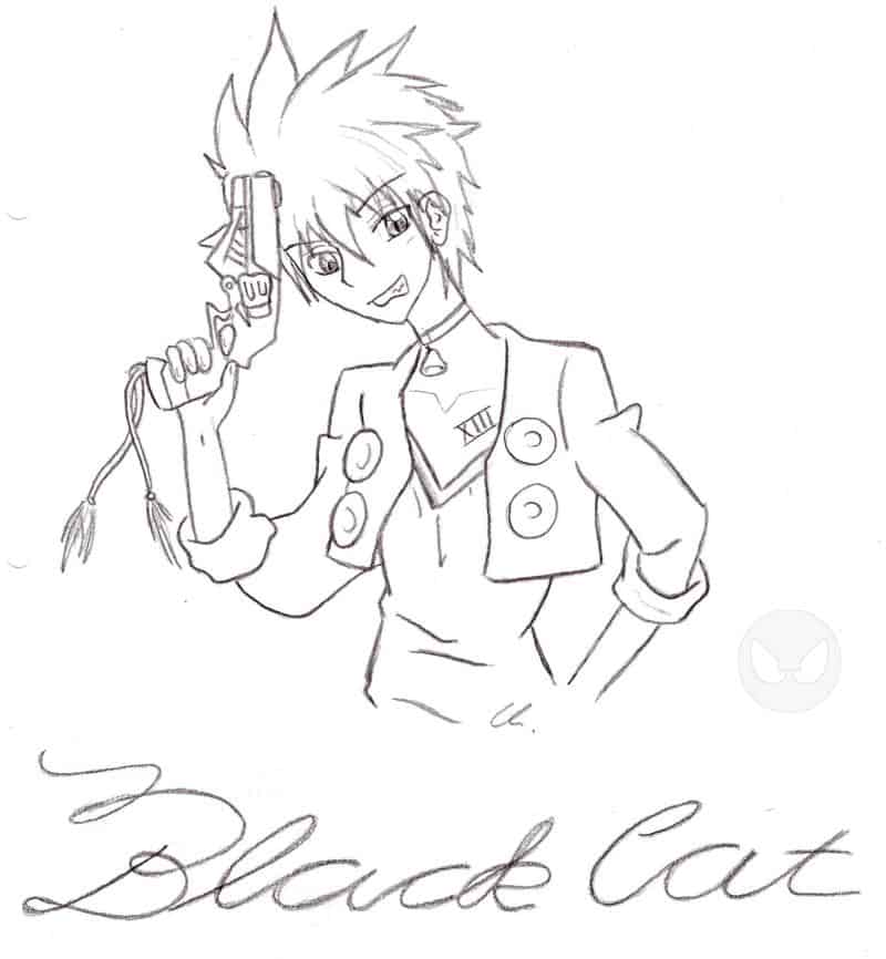 Black cat
