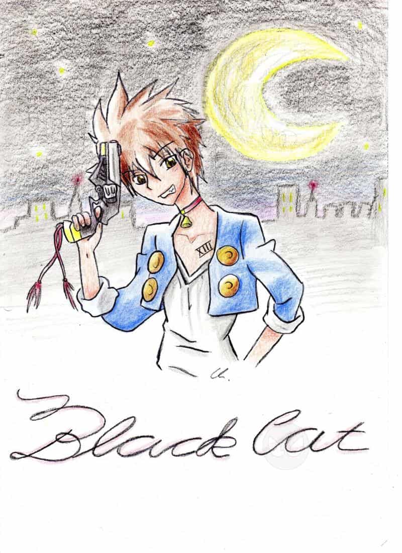 Black cat colo 2